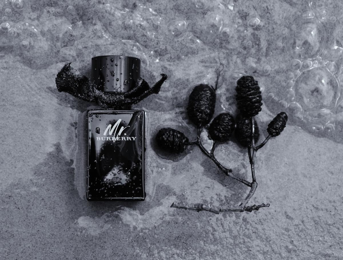 Mr. Burberry Eau de Parfum(100ml)