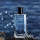Davidoff Cool Water Parfum for Unisex(125ml)