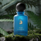 Blue eau de parfum bottle viewed straight-on, dark spherical cap, gold logo on label