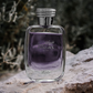 Rasasi Hawas for Men Eau de Parfum - 100ml
