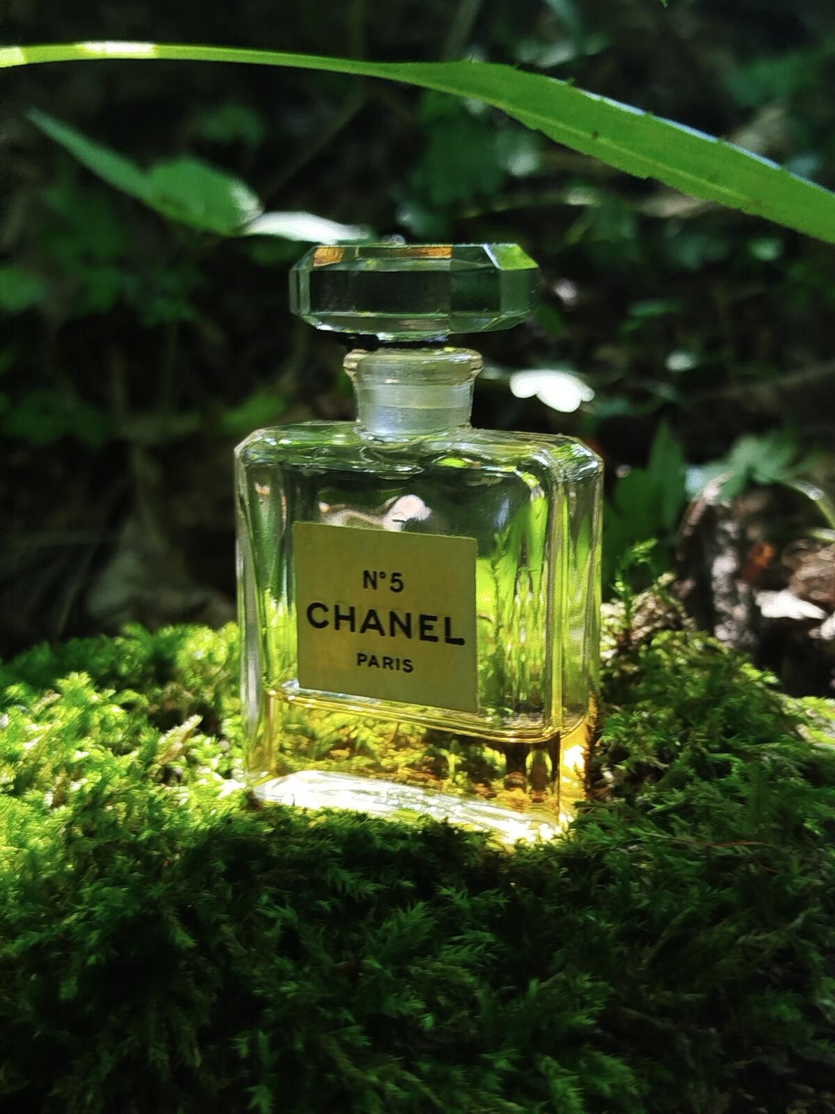 Chanel No. 5 Eau de Parfum(100ml)