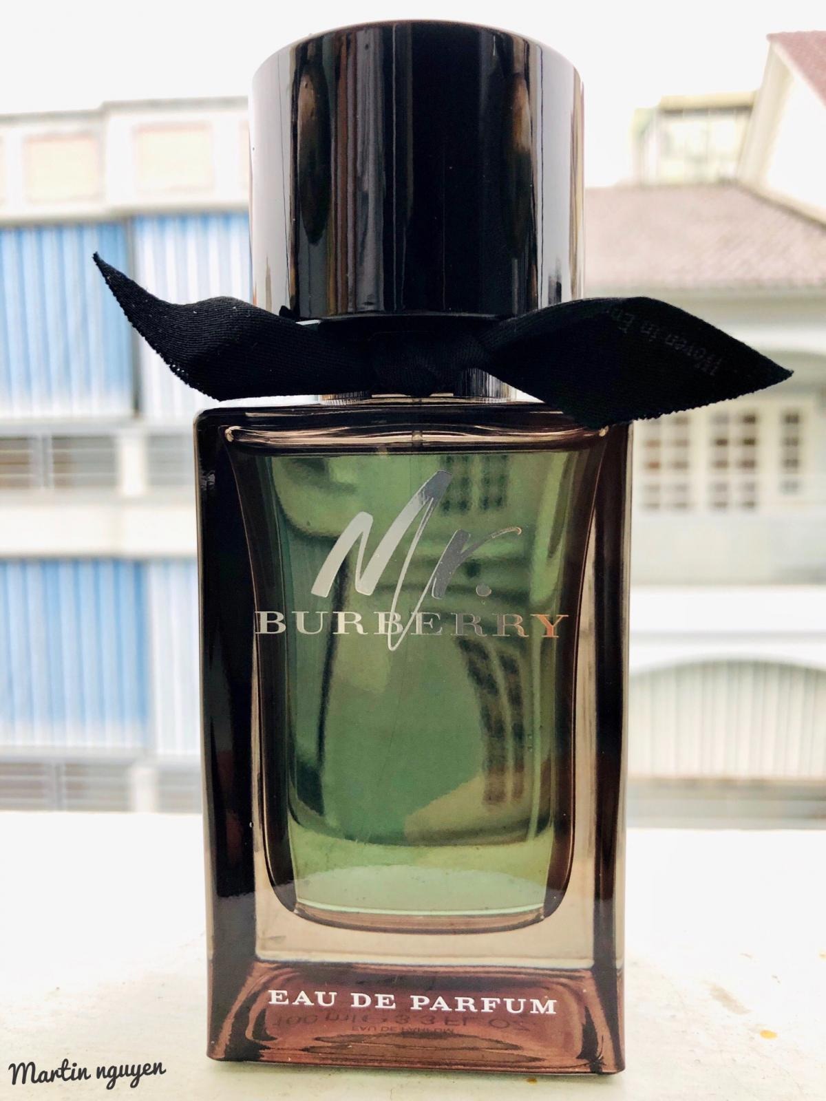 Mr. Burberry Eau de Parfum(100ml)