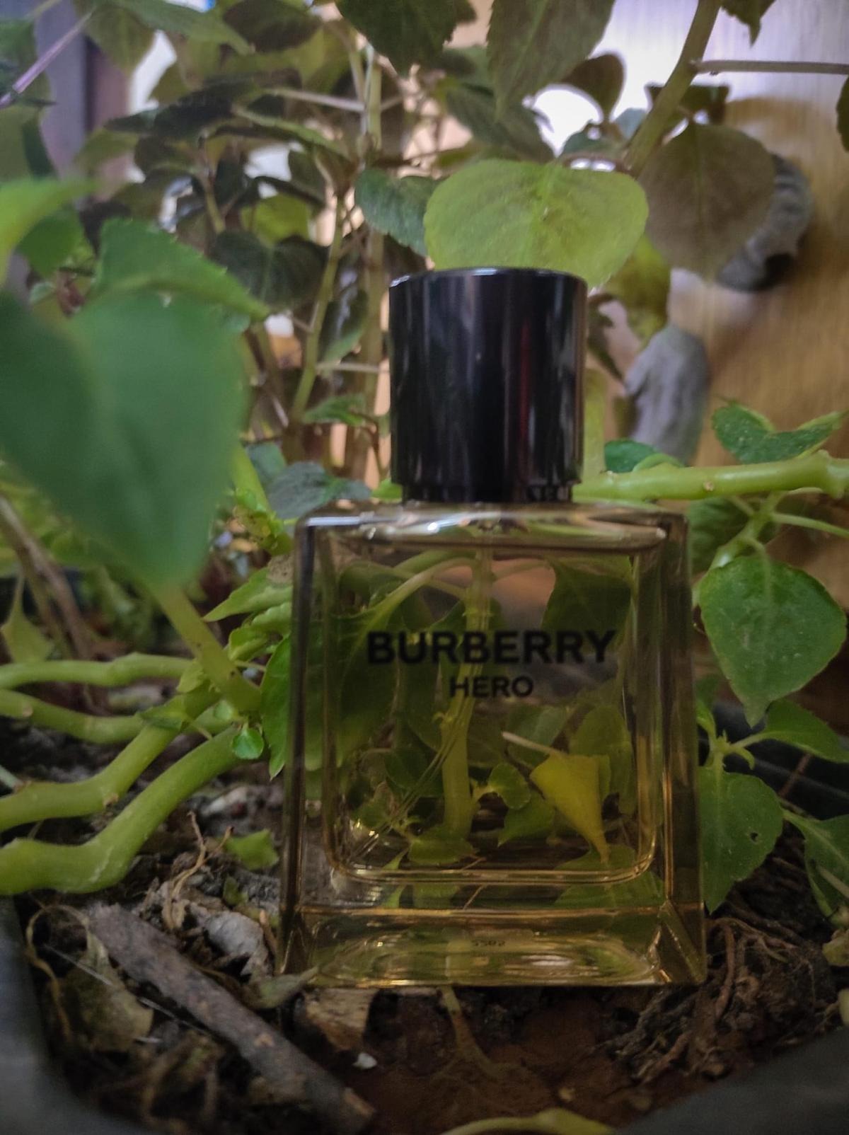 Burberry Hero Eau de Toilette(100ml)