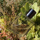 Burberry Hero Eau de Toilette(100ml)