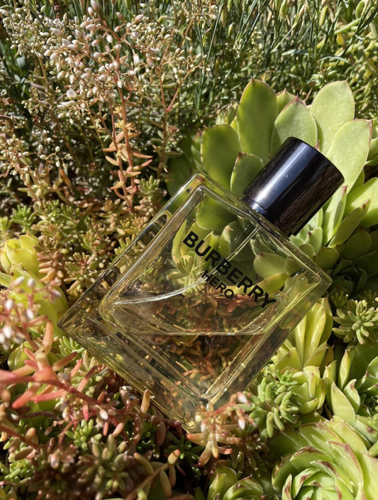 Burberry Hero Eau de Toilette(100ml)