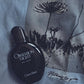 Calvin Klein Obsession Night for Men(100ml)
