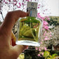 Calvin Klein Eternity for Men(100ml)