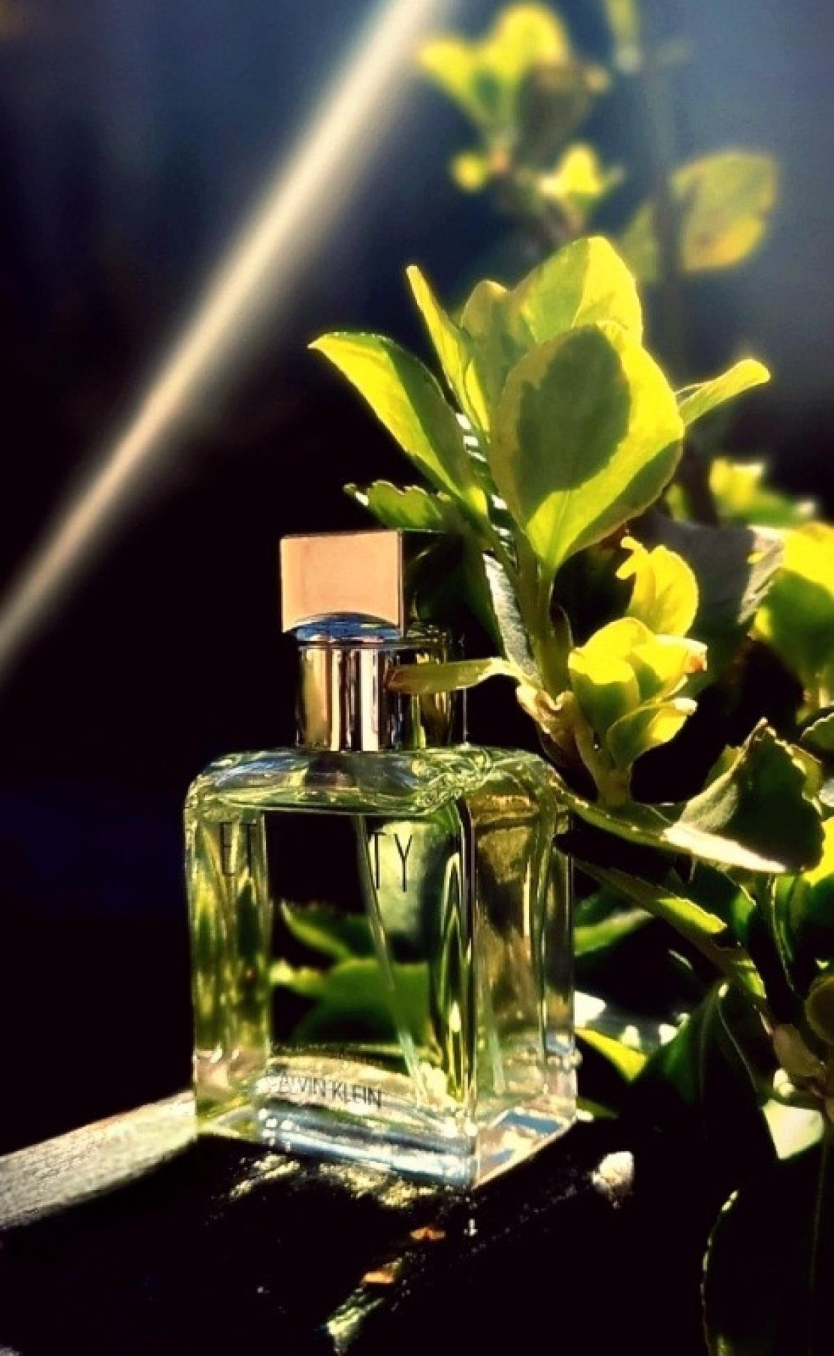 Calvin Klein Eternity for Men(100ml)