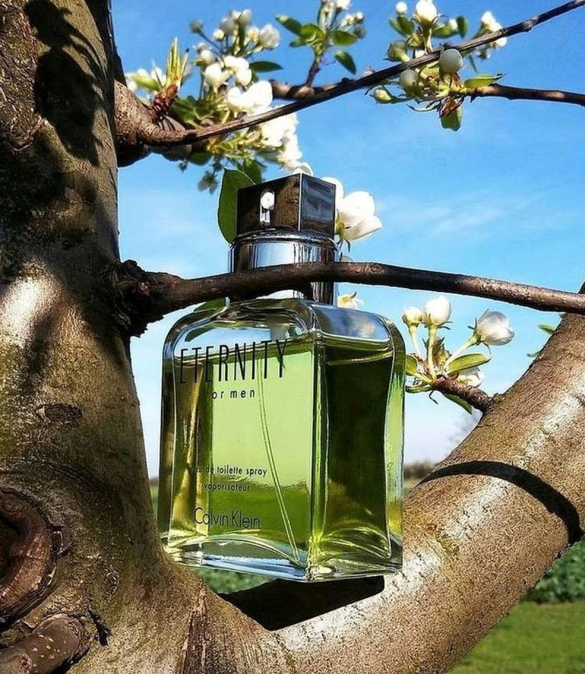 Calvin Klein Eternity for Men(100ml)